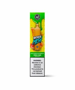 Puff Boss Mesh Peach Mango Watermelon Disposable