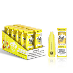 Puff AIr Mesh Straw mango