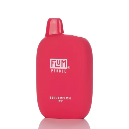 Flum Pebble Disposable Vape - Berrymelon Icy
