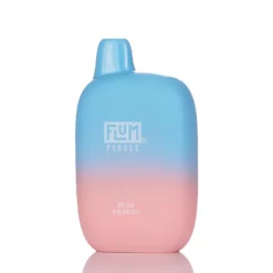 Flum Pebble Disposable Vape - Blue Energy