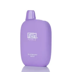 Flum Pebble Disposable Vape - Blueberry Mint