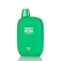 Flum Pebble Disposable Vape - Cool Mint