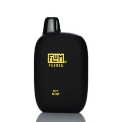 Flum Pebble Disposable Vape - Icy Mint