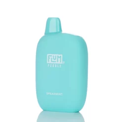 Flum Pebble Disposable Vape - Spearmint