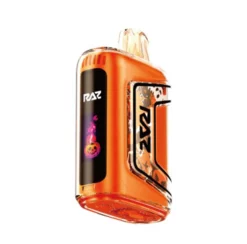 RAZ Vape TN9000 Disposable - Pumpkin Pie Frosting