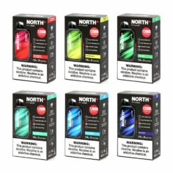 North FT12000 Disposable Vape 12000 Puffs