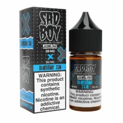 Sadboy Salt Blueberry Jam Cookie 30mL